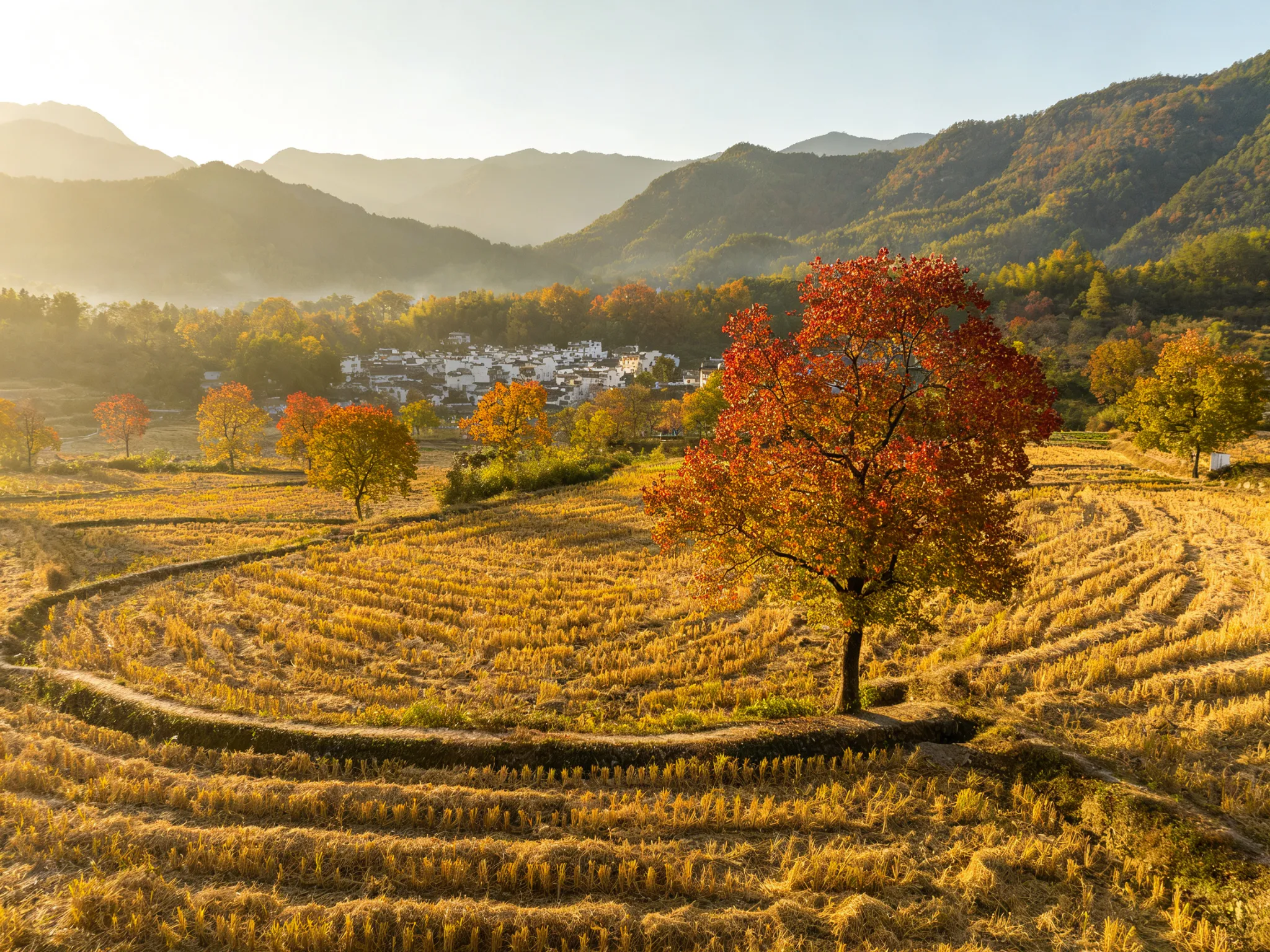 Yixian — photo 2 (gallery)