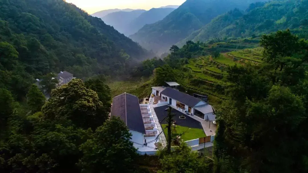 Anji — 2. Tea plantations (top things to see)