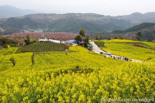 Ninghai — photo 2 (gallery)